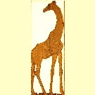 Thumb Giraffe